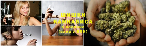2c-b Бородино
